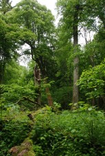 SMALL_Afscheid RB_Peter Afb 00352_